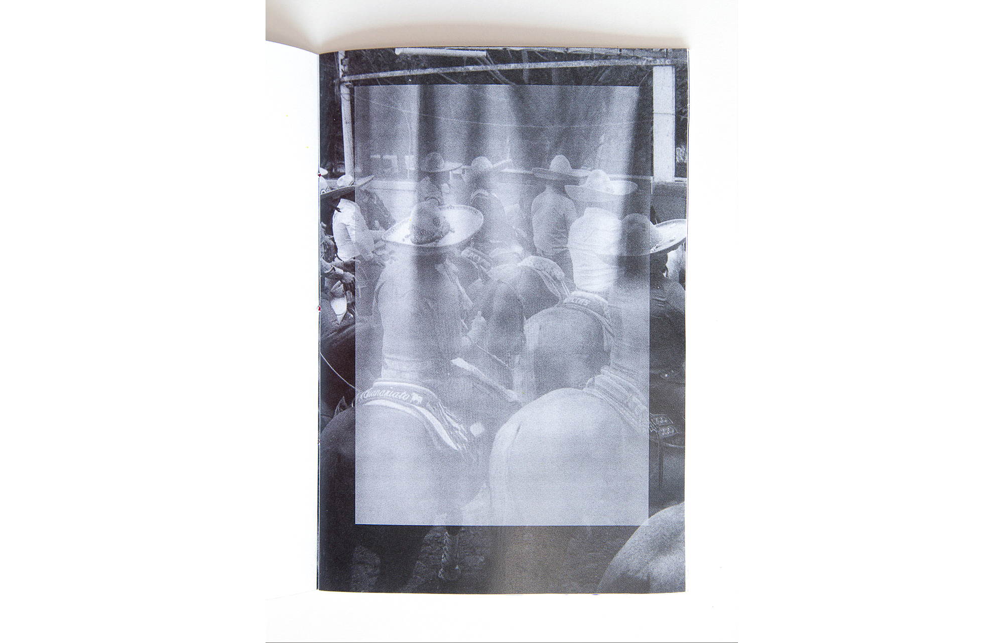 Del-La-Torre_El-Coleadero