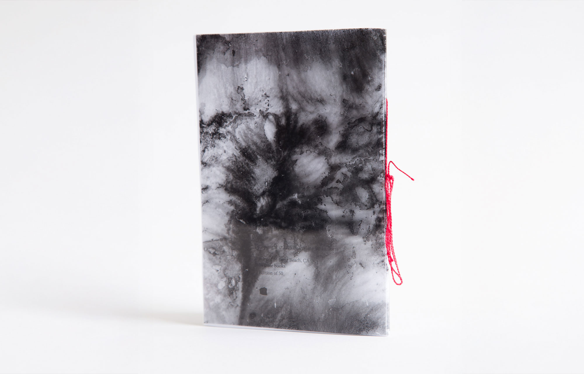 Del-La-Torre_El-Coleadero